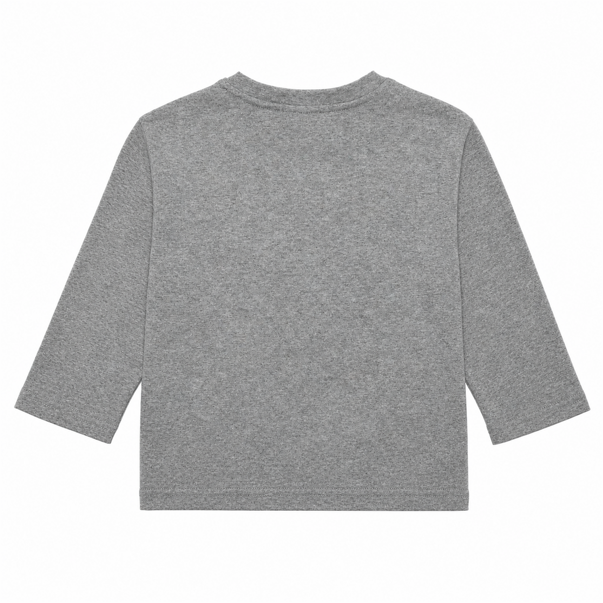 Raypon Popcorn Graphic Long-Sleeve Tee in Heather Grey - back view