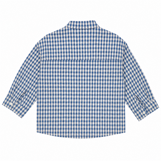 Raypon Gingham Tomato Patch Shirt in Blue Gingham - back view